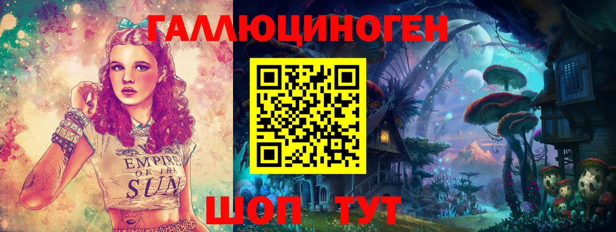 Галлюциногенные грибы Psilocybine cubensis Реж