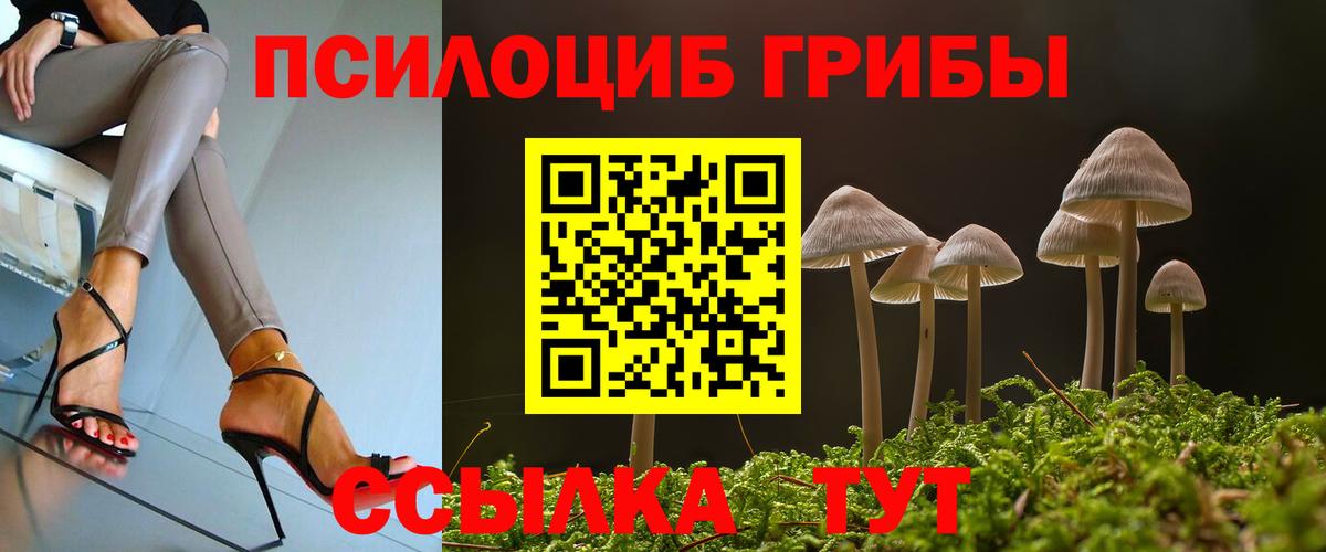 Реж  как найти закладки  Вход с VPN  Псилоцибиновые грибы прущие грибы  Галлюциногенные грибы Cubensis 