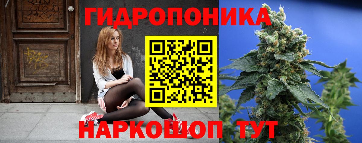 Бошки Шишки семена  Вход с VPN  Бошки Шишки ГИДРОПОН  Реж  Шишки марихуана OG Kush 